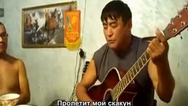 Красиво поёт смотреть онлайн