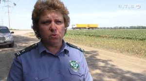 Борьба с повиликой