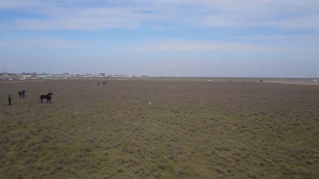 Скачки в Кунбатаре -"Атшабыс 2021" Приз реки Кума. ЧКВ Ногайских коневладельцев.Дист. 1600м. смотреть онлайн