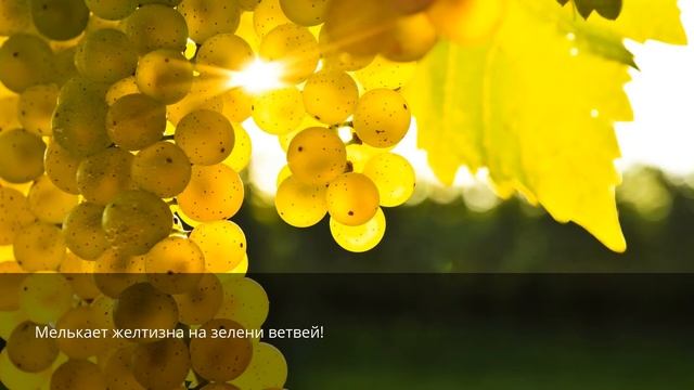 Как передать всю прелесть летних дней... смотреть онлайн
