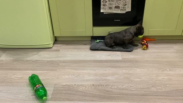 чего БОИТСЯ МАСЯ избавляемся от СТРАХОВ смотреть онлайн