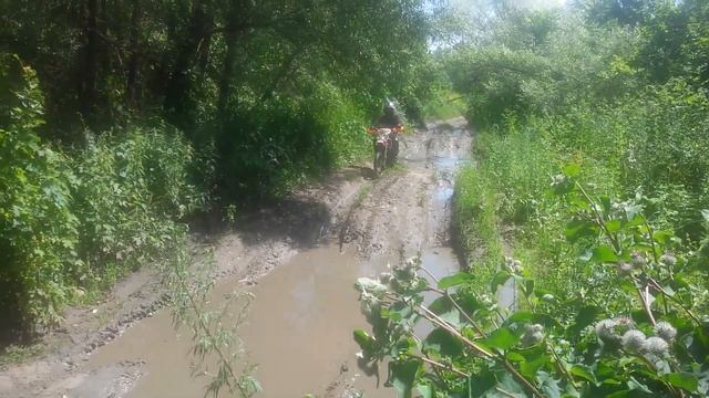 Веселые заеды по грязи на питбайке смотреть онлайн