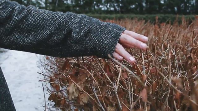 Winter-Spring / Чудесное превращение природы! смотреть онлайн