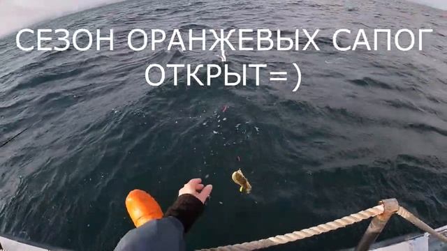 Рыбалка в с. Стародубское смотреть онлайн