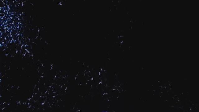 My Chemical Romance - The Foundations of Decay смотреть онлайн