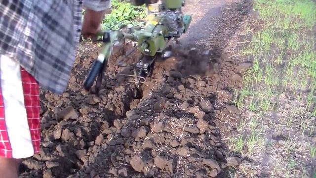 Дорога, по которой ходили... смотреть онлайн