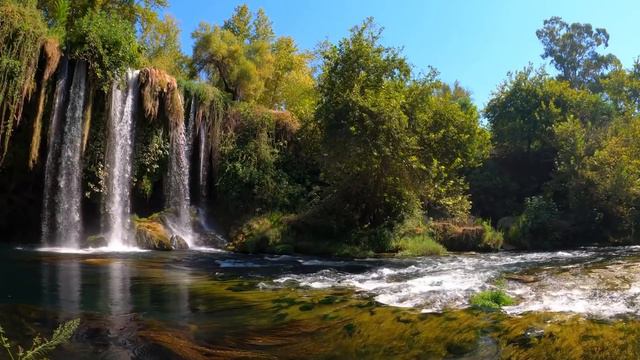 Остервенелая волчья стая окружала село. Они твердо решили забрать, что у них отняли! смотреть онлайн