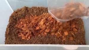 Рецепт ИДЕАЛЬНОГО грунта для ароидных и не только 💚 Супер рыхлый и воздушный грунт  без заливов