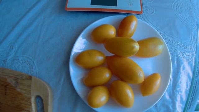 ТОМАТ ЛИСИЧКА 2020 смотреть онлайн