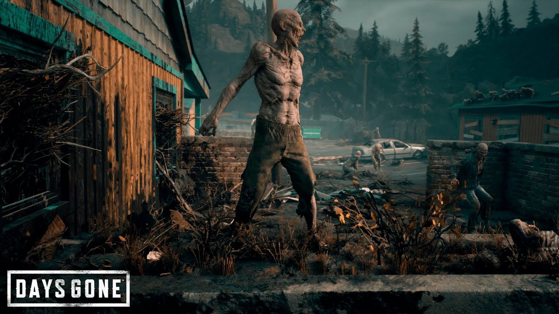 Days Gone ▷ Гнёзда #4