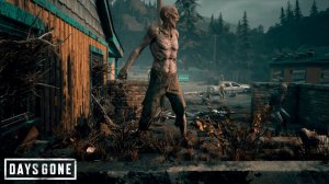 Days Gone ▷ Гнёзда #4