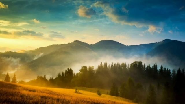 Жена решила отомстить мужу. Домой пришла пьяная в стельку. Он пережил ужасы страшной ночи ... смотреть онлайн