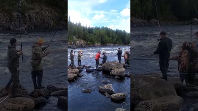 Умба/ Рыбалка/ Горбуша/ Кольский полуостров смотреть онлайн