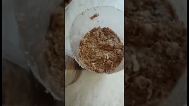 #людмилаалпысбаева #рецепт #вкусная еда #зельц #Холодец и Зельц в бутылке. смотреть онлайн