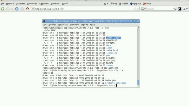 Installing P4A смотреть онлайн