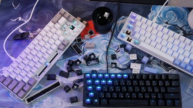 Вынесли мусор за 11 тысяч рублей | Razer Huntsman Mini vs FL eSports 68 смотреть онлайн