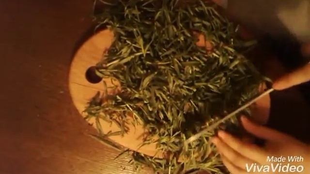 Как сделать тархун.