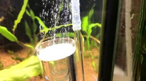 Обзор диффузора и дропчекера из Китая. Установка в акваруим