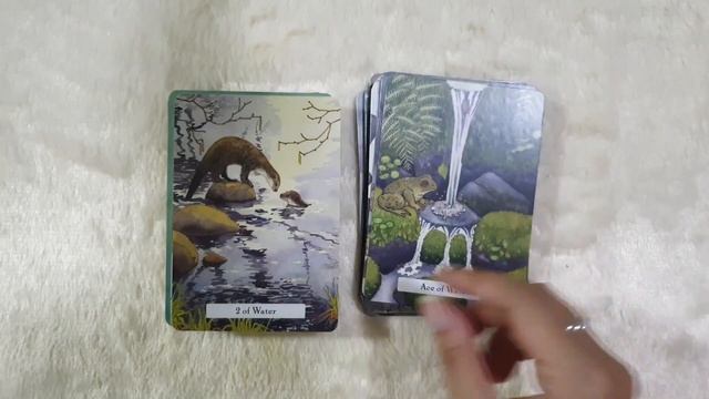 [Unbox] Review The Witches Wisdom Tarot Flip Through смотреть онлайн
