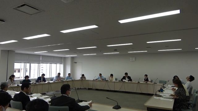 岩倉市議会令和５年６月定例会　財務常任委員会（６月８日） смотреть онлайн