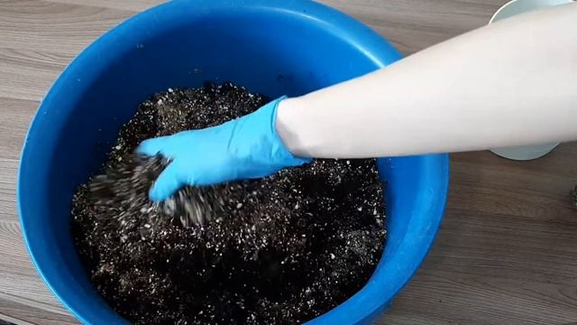 Почва для рассады и взрослых растений. Выбор кашпо. Субстрат для гибискуса. смотреть онлайн