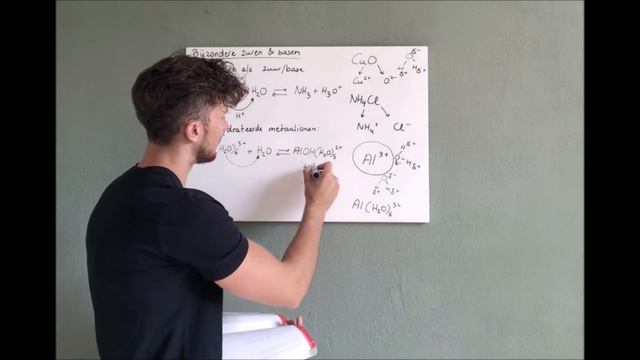 10. Bijzondere zuren en basen (VWO) смотреть онлайн