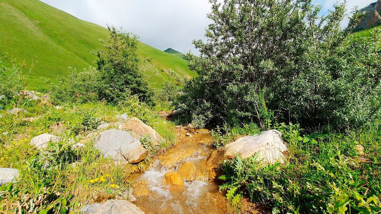 Water Stream Sounds and Birds Singing in the Mountains - Sleep, Relaxation, Meditation смотреть онлайн