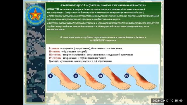 НВиТП 10 класс урок 29 смотреть онлайн