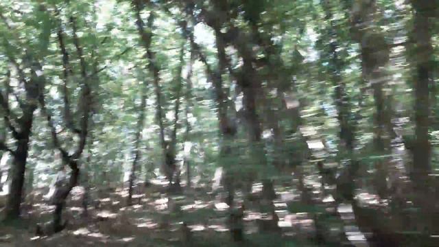 На склонах гор в Байдарской долине смотреть онлайн
