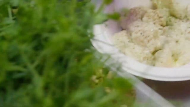 Mac&Cheese видео для фудкортов Балтия Молл смотреть онлайн