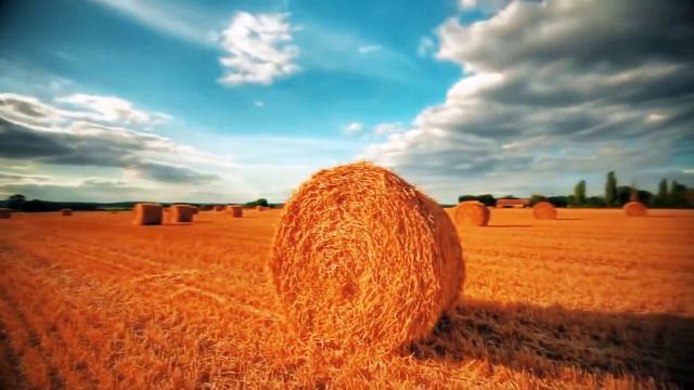 #Братьязаречные COVER Егор Егоров =Губами губ твоих коснусь= смотреть онлайн