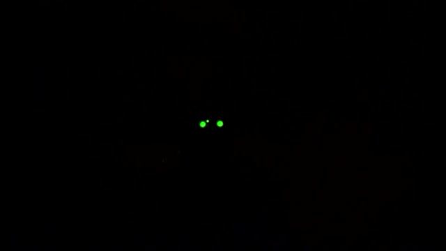 Night Sights & the Night Sun - The Junkman Don't Play смотреть онлайн