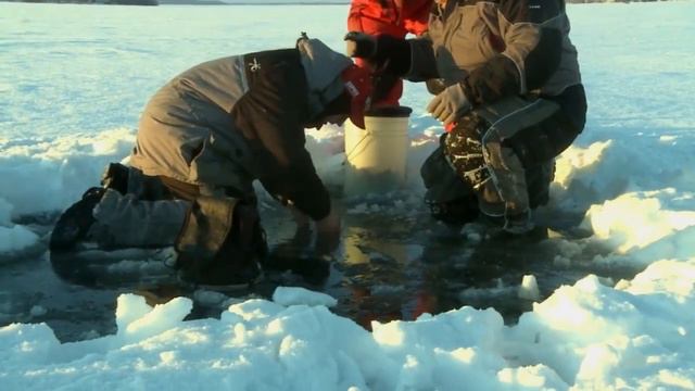 зимняя рыбалка 1 2016 смотреть онлайн