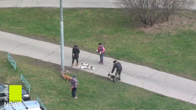 ХРОНИКИ ИЗОЛЯЦИИ. ПОШЛО ОНО ВСЕ К ЧЕРТЯМ СОБАЧЬИМ! смотреть онлайн