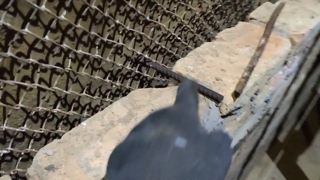 СМОТРОВАЯ ЯМА ИЗ КИРПИЧА В ГАРАЖЕ. ОСЕНЬ 2020 года смотреть онлайн