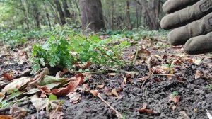 ЗАЩИТИТЬ ФРАНЦИЮ 1. КАМПАНИЯ ИЗ ПЛАСТИЛИНА. ТАНКИ ИЗ ПЛАСТИЛИНА. БОЙ ТАНКОВ ИЗ ПЛАСТИЛИНА.