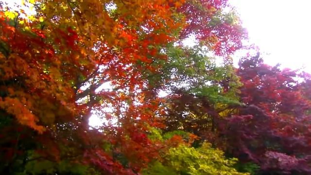 Осенняя роса - минус (музыка - Играфа Йошки, слова - Юрия Гарина) смотреть онлайн