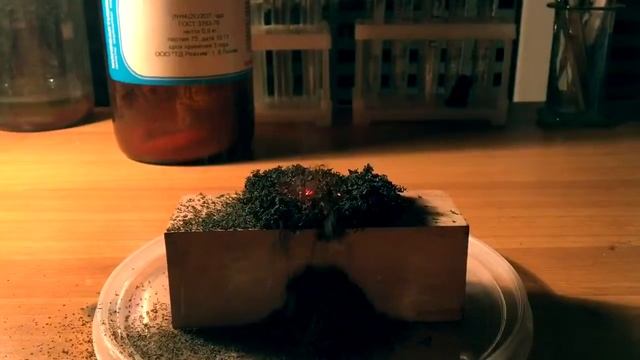 Возвращение блудного сына! смотреть онлайн