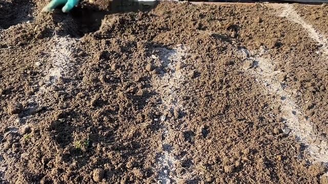 Дела огородные) Навожу порядок в зоне огорода ..сажаю лук севок. 08.04.2023. смотреть онлайн