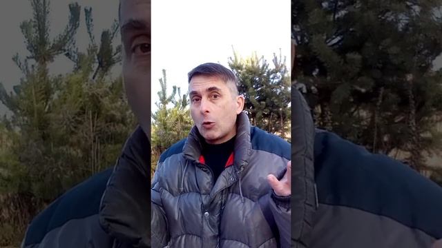Байка про Козу смотреть онлайн