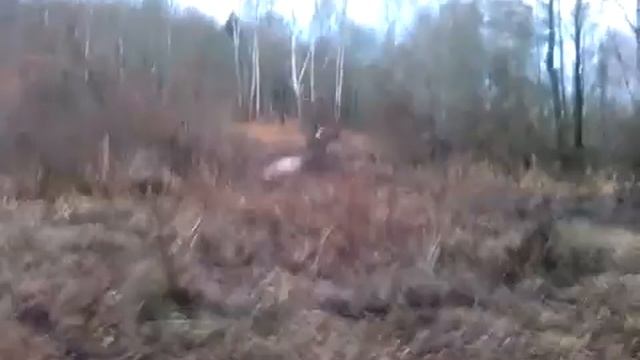 трасса на николаевских прудах смотреть онлайн