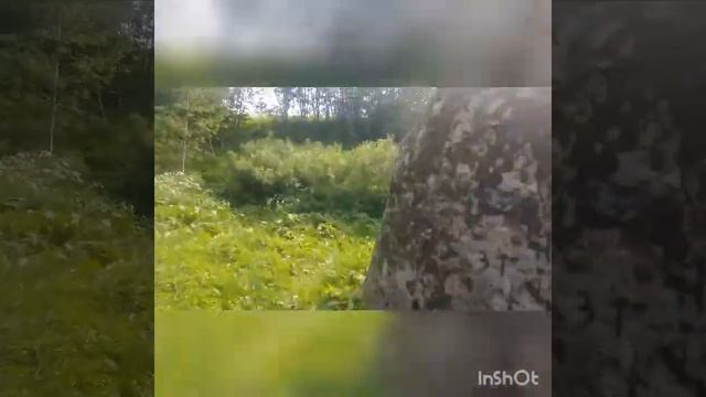 Валун у деревни Камень (Новгородская область) смотреть онлайн