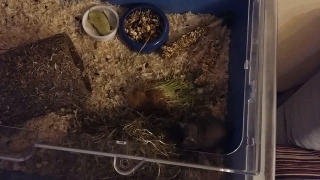 Деловое утро смотреть онлайн