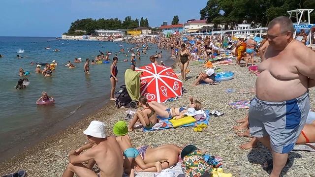 ДИВНОМОРСКОЕ ?ЖИЗНЬ НА ПЛЯЖЕ ЗАГАРАЮТ ,КУПАЮТСЯ. ‼️#дивноморское #дивноморск #море смотреть онлайн