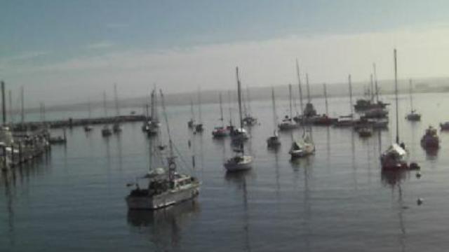 монтерей смотреть онлайн