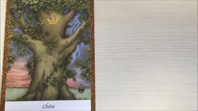 celeste's weekly oracle 11/9-11/15 смотреть онлайн