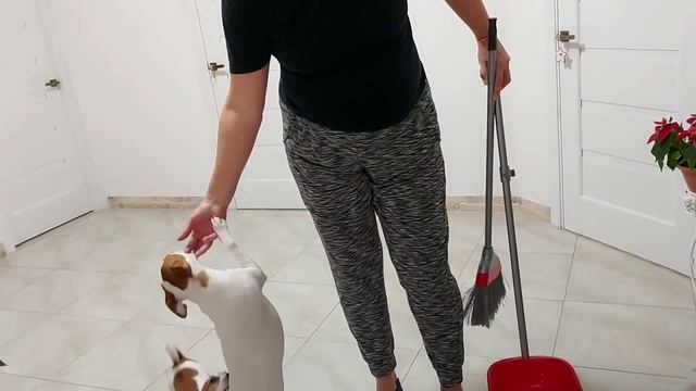 К нам вернулась Сова ? что делать с барабашкой смотреть онлайн