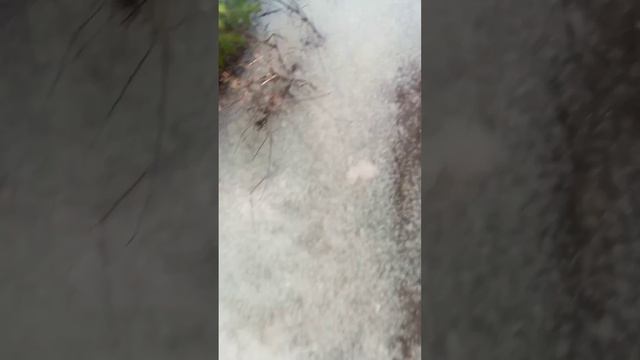 Тополиный пух смотреть онлайн