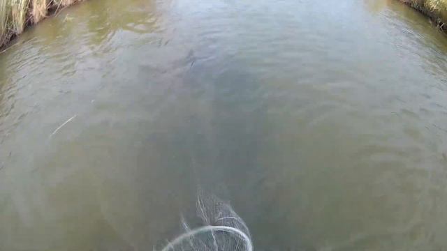 Кастинговая сеть на ставропольсих балотах, эпичный заброс смотреть онлайн