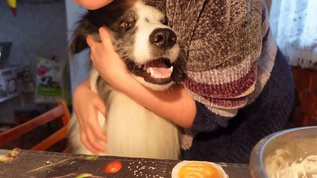 Вещий сон. Кукинг с Клайди. Как приготовить оладьи без яиц.